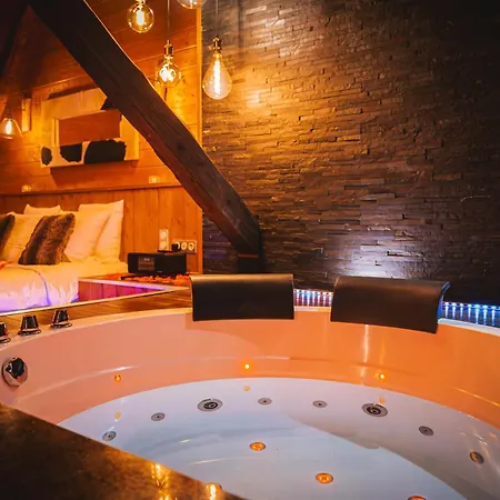 Appartement Le Loft&spa Villeurbanne